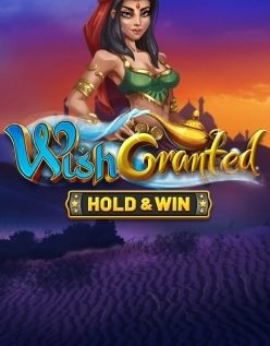 Wish Granted 