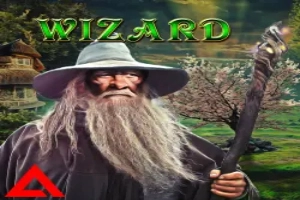 Wizard Demo Slot 