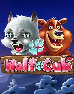 Wolf Cub 