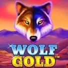 Wolf Gold 