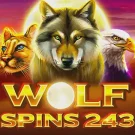 Wolf Spins 243 