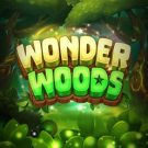 Wonder Woods 